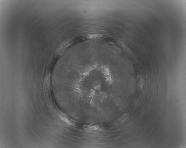 X0000078020475200611101851