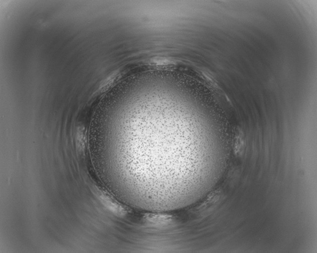 X0000078020476200611101851