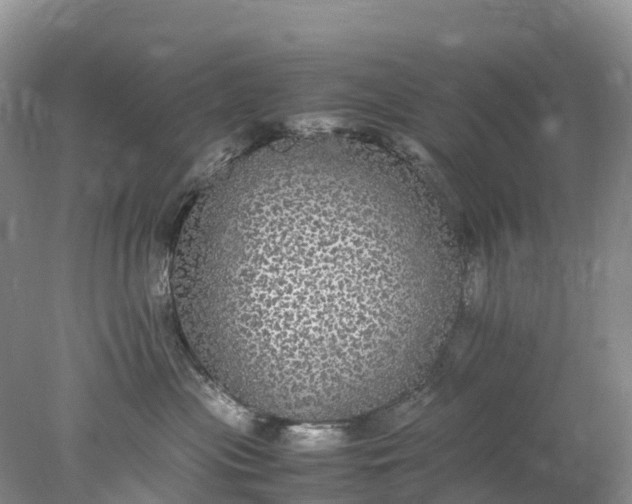 X0000078020477200611101851