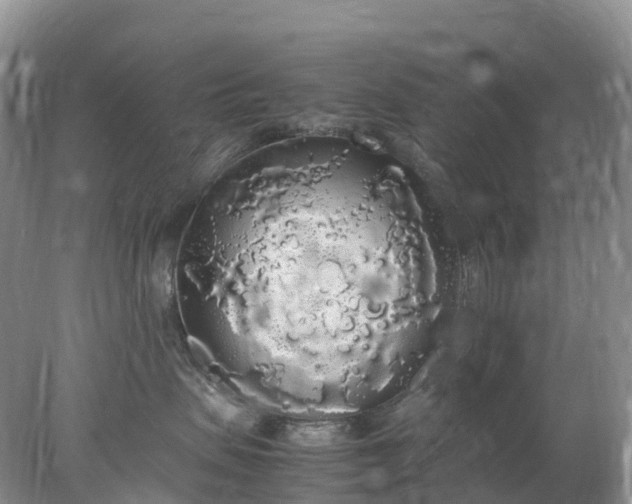 X0000078020479200611101851