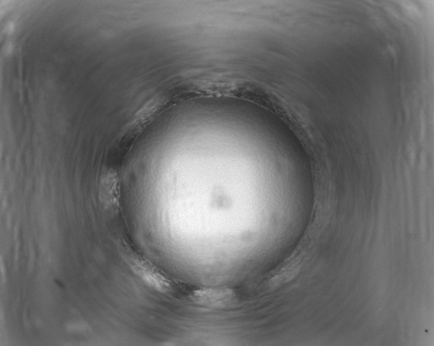 X0000078020480200611101851