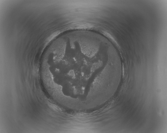 X0000078020483200611101851