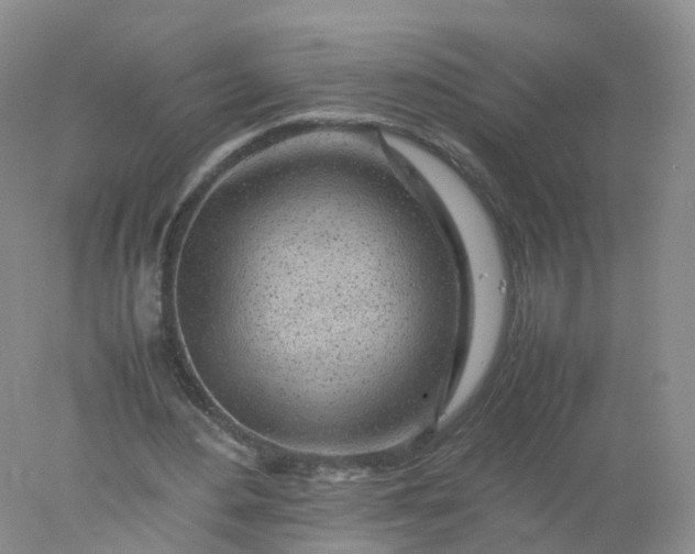 X0000078020484200611101851