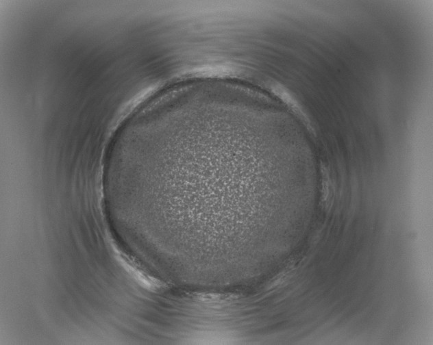 X0000078020486200611101851