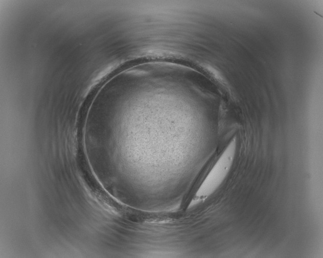 X0000078020488200611101850