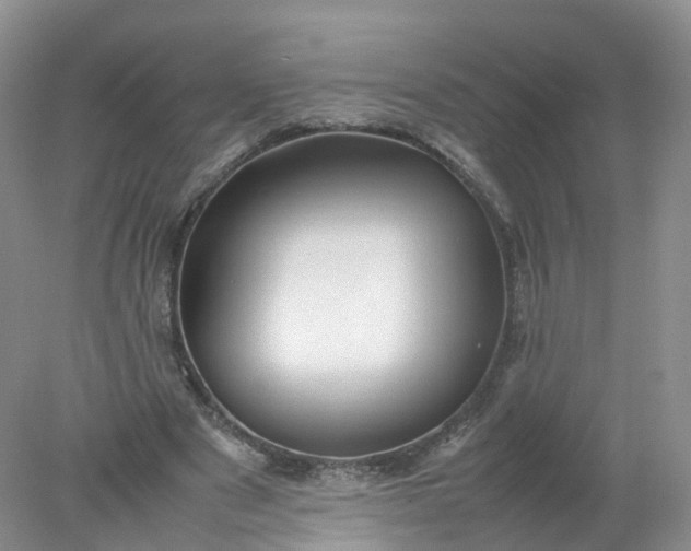 X0000078020489200611101850