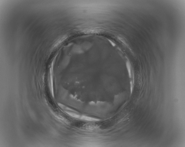 X0000078020491200611101850