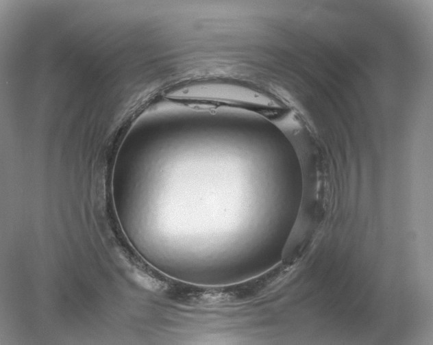 X0000078020493200611101850