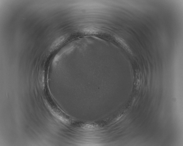 X0000078020494200611101850