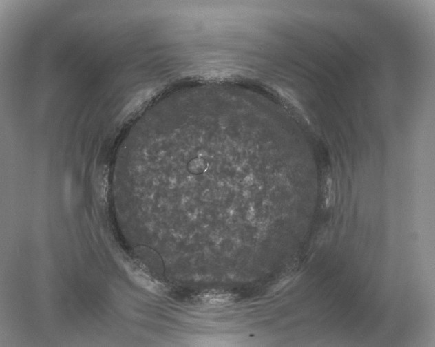 X0000078020495200611101850