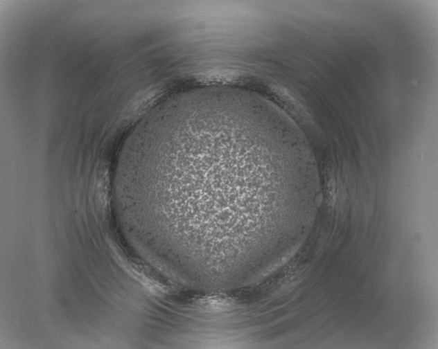 X0000078020498200611101850