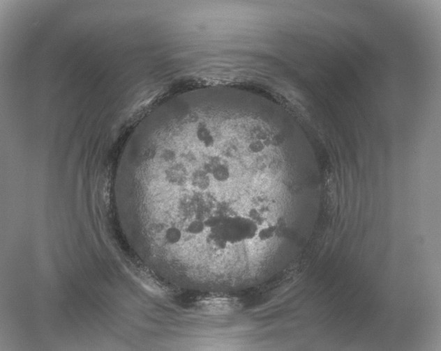 X0000078020499200611101850