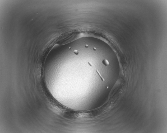 X0000078020501200611101850