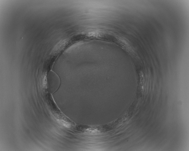 X0000078020502200611101850