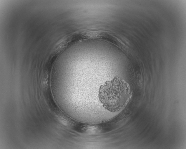 X0000078020507200611101850