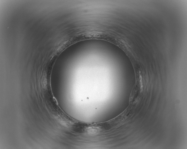 X0000078020508200611101850