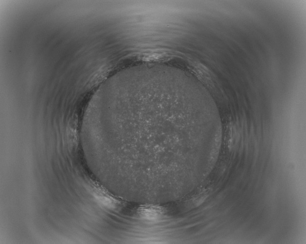 X0000078020510200611101850