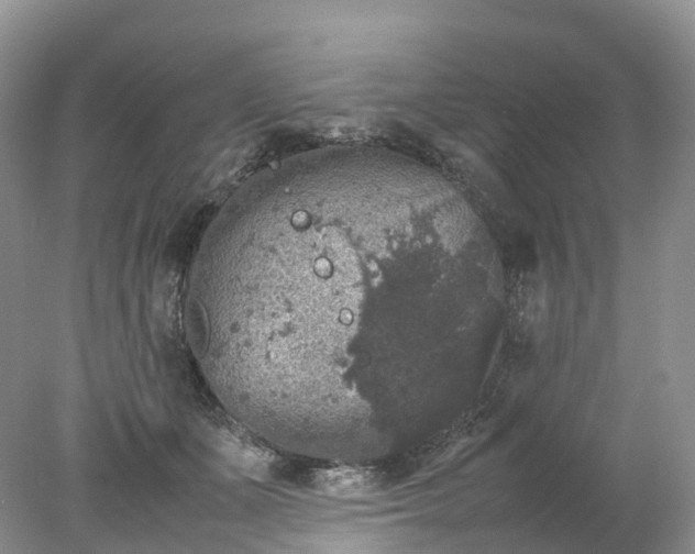 X0000078020511200611101850