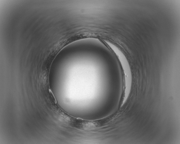 X0000078020513200611101850