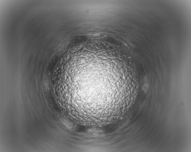 X0000078020515200611101850