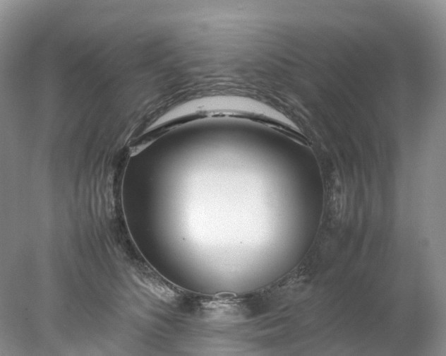 X0000078020516200611101850