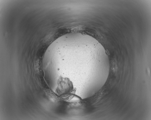 X0000078020519200611101850