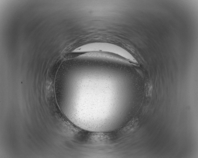 X0000078020521200611101850