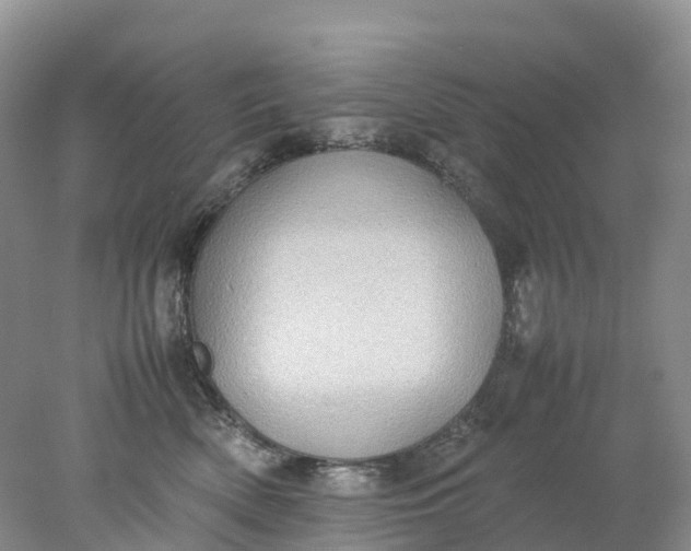 X0000078020522200611101850