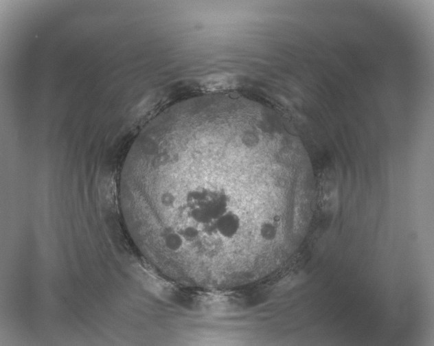 X0000078020523200611101850