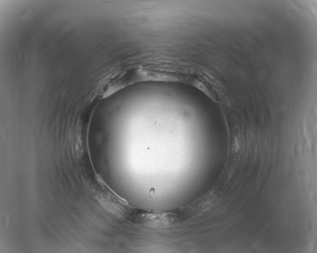 X0000078020524200611101850