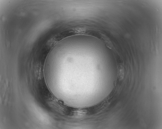 X0000078020525200611101850