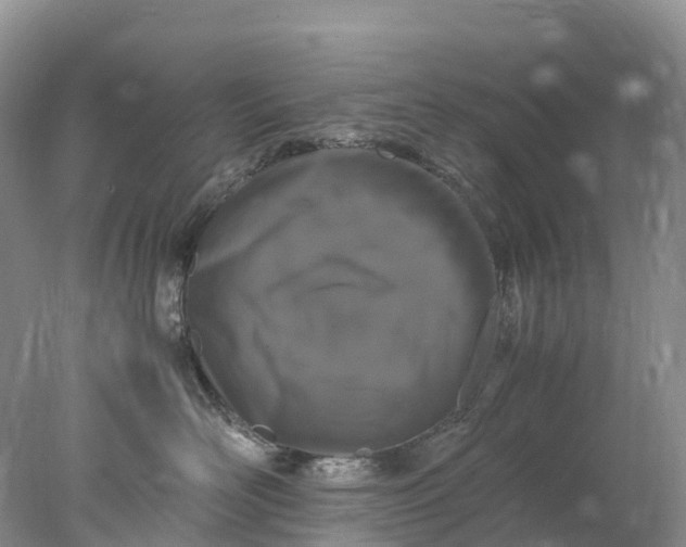 X0000078020526200611101850