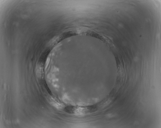 X0000078020527200611101850