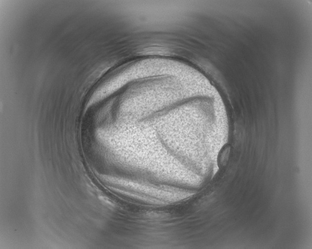 X0000078020529200611101849