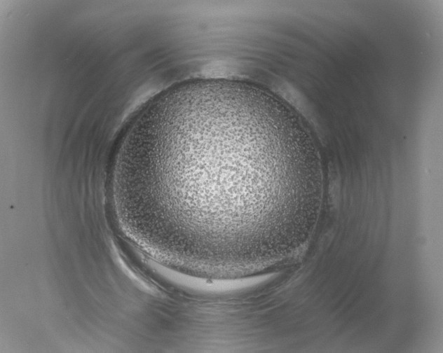 X0000078020530200611101849