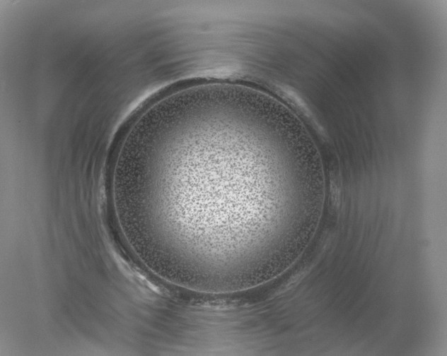 X0000078020532200611101849