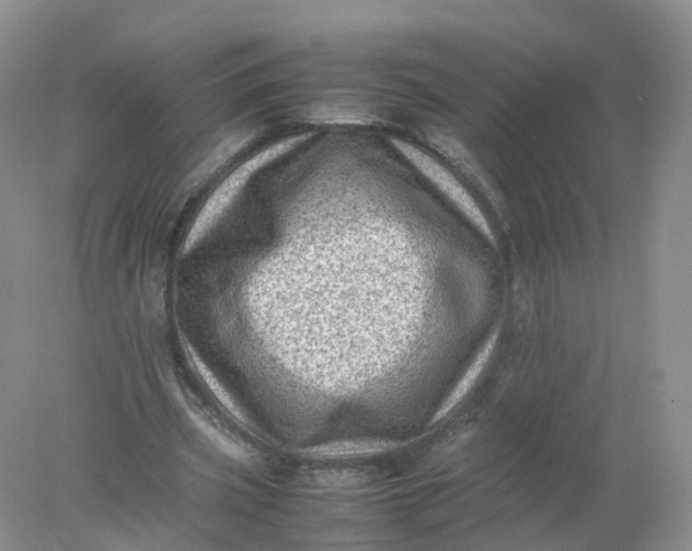 X0000078020533200611101849