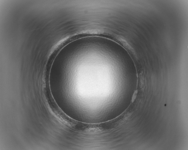 X0000078020536200611101849