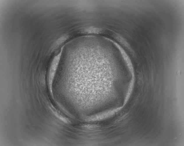 X0000078020537200611101849