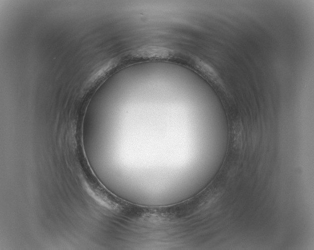 X0000078020538200611101849