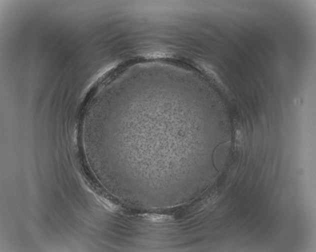 X0000078020539200611101849