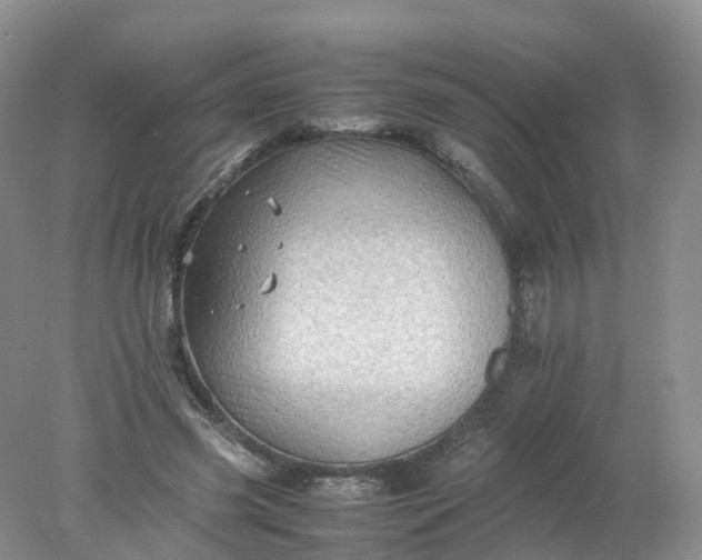 X0000078020541200611101849