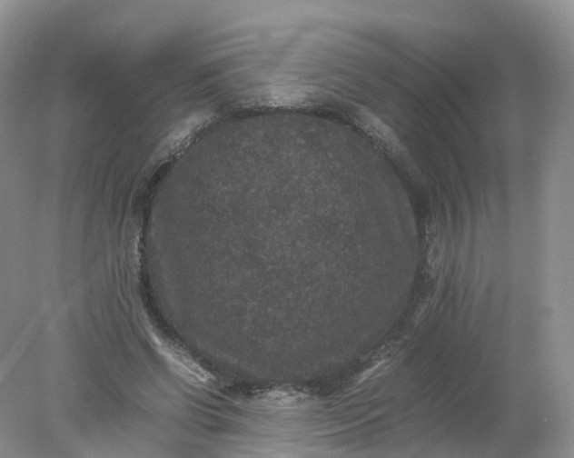 X0000078020542200611101849