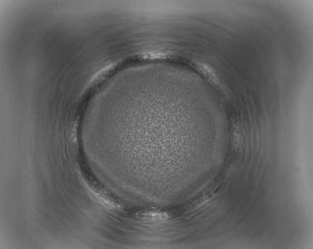 X0000078020543200611101849