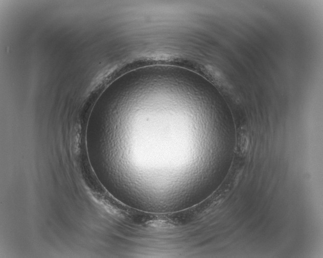 X0000078020544200611101849