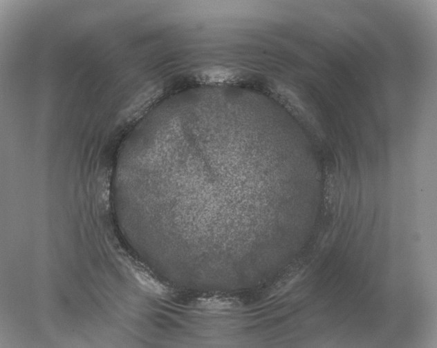 X0000078020545200611101849