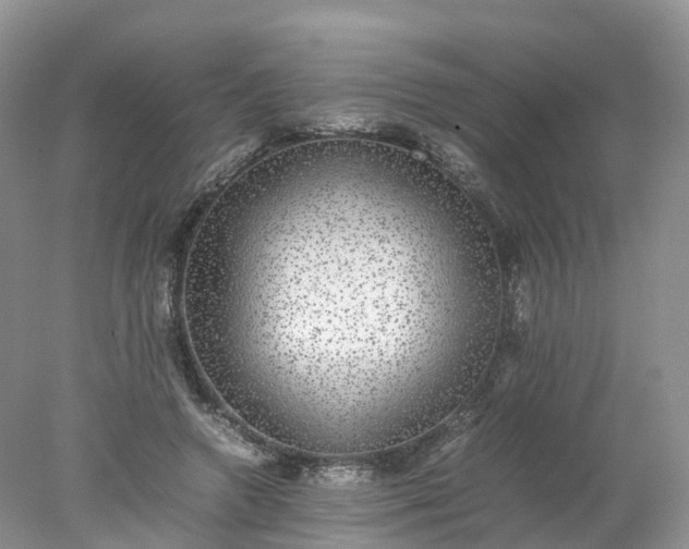 X0000078020546200611101849