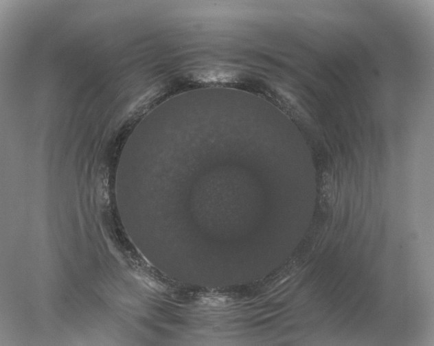 X0000078020547200611101849