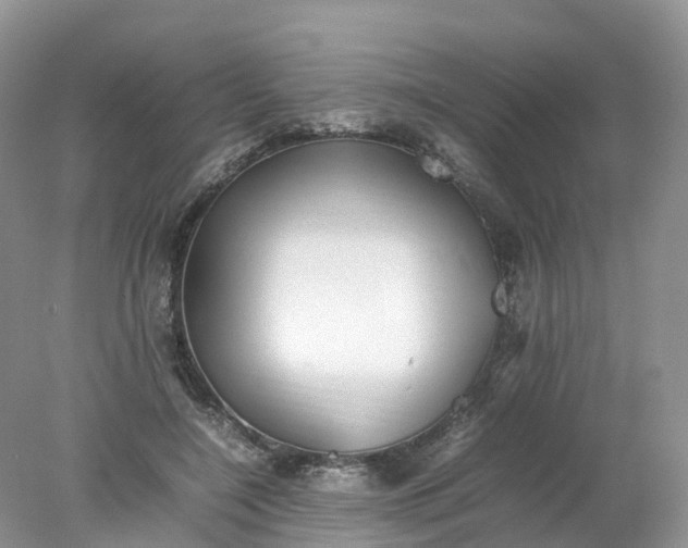 X0000078020548200611101849