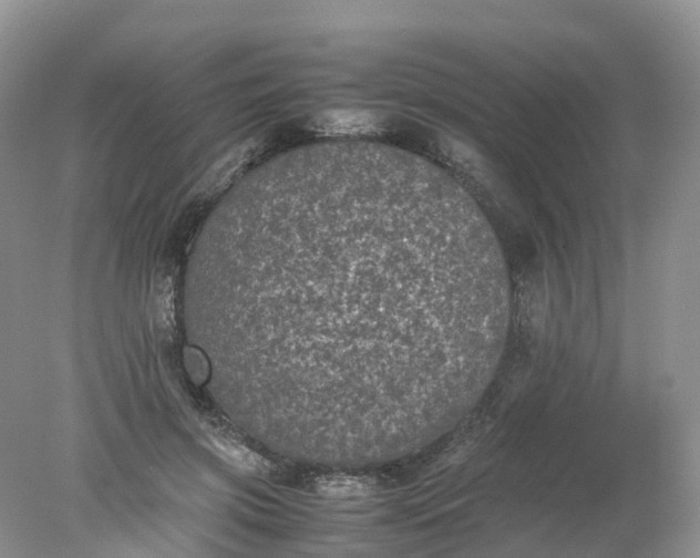 X0000078020549200611101849